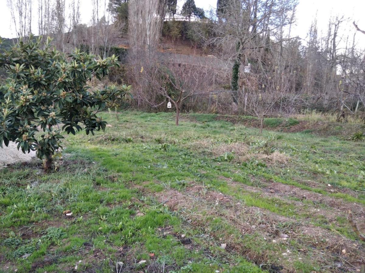Nietos * Villaverde De Guadalimar